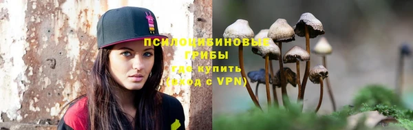 тгк Абинск