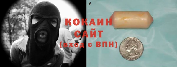 крисы Алексин
