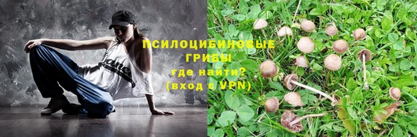 крисы Алексин