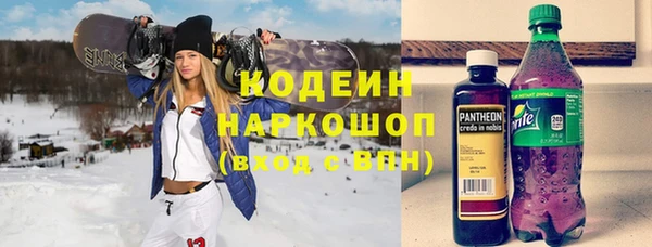 крисы Алексин