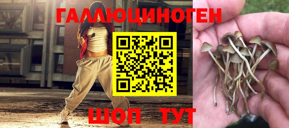 Галлюциногенные грибы Cubensis  Вход с VPN  Галлюциногенные грибы Magic Shrooms  Шахты 