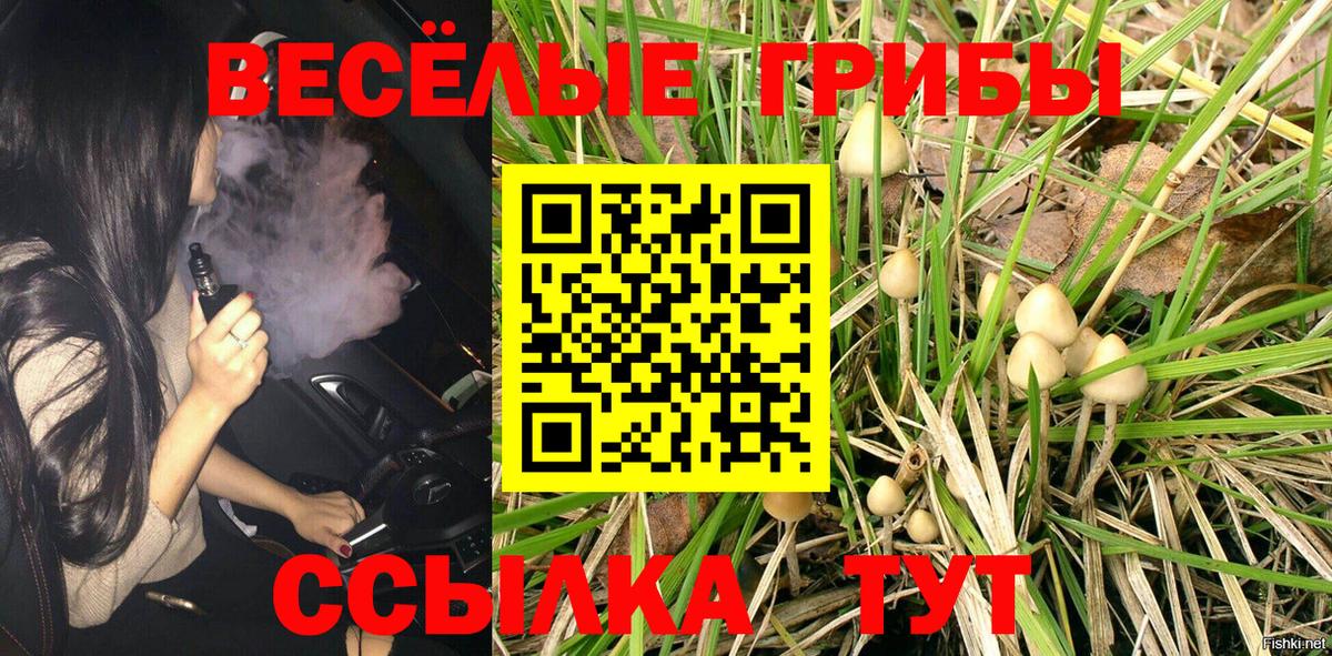 КОКАИН  ГАШ  Мефедрон  ГАШИШ  Вход с VPN  Шахты  Сколько стоит  Мефедрон  