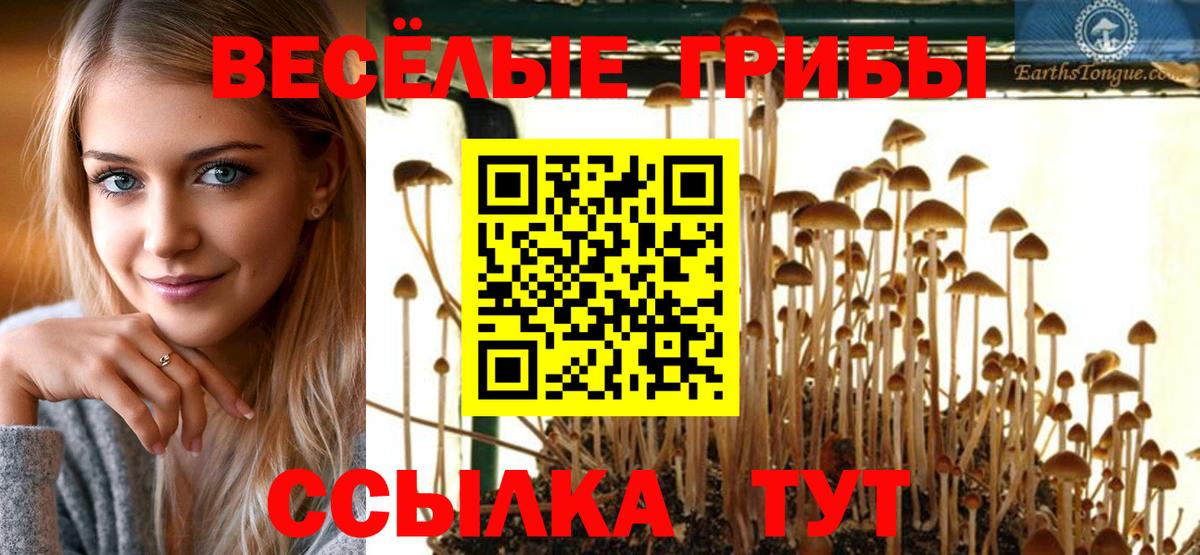 Псилоцибиновые грибы GOLDEN TEACHER Шахты